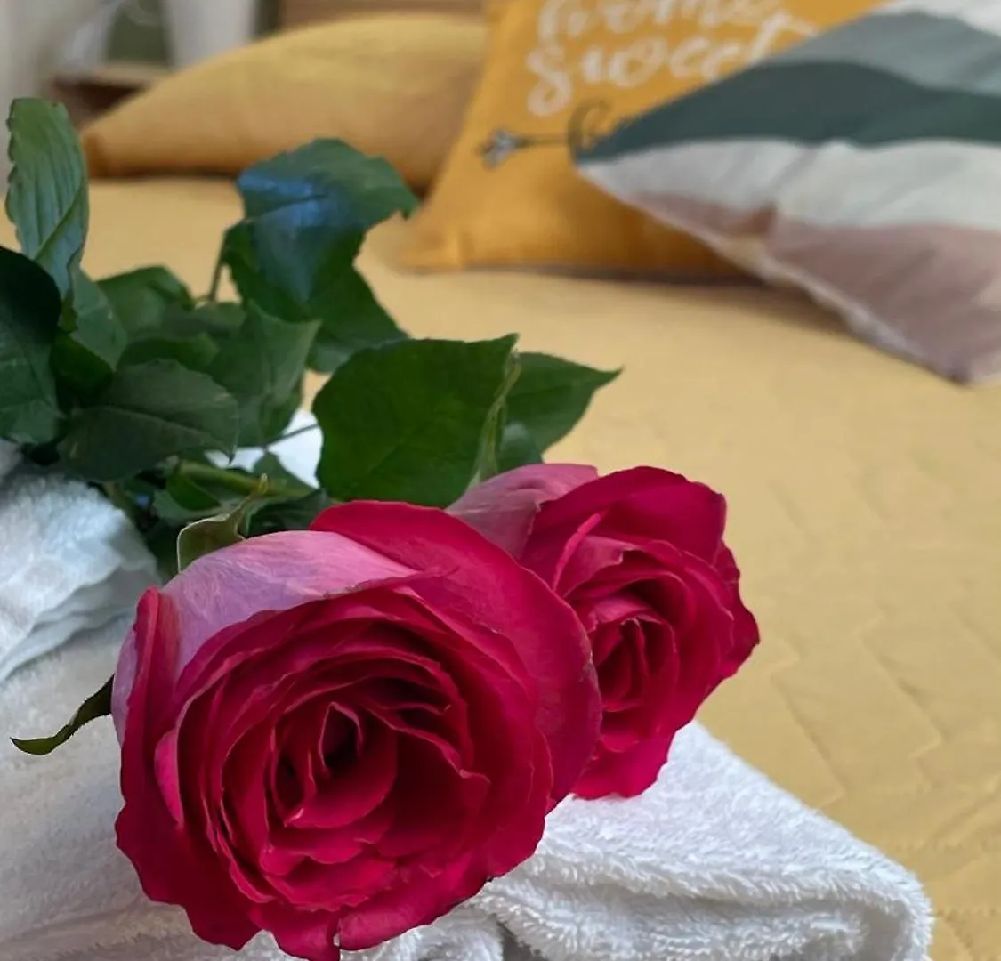 Residence La Rosa Porto San Paolo Olaszország